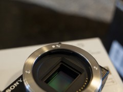 _DSC5880